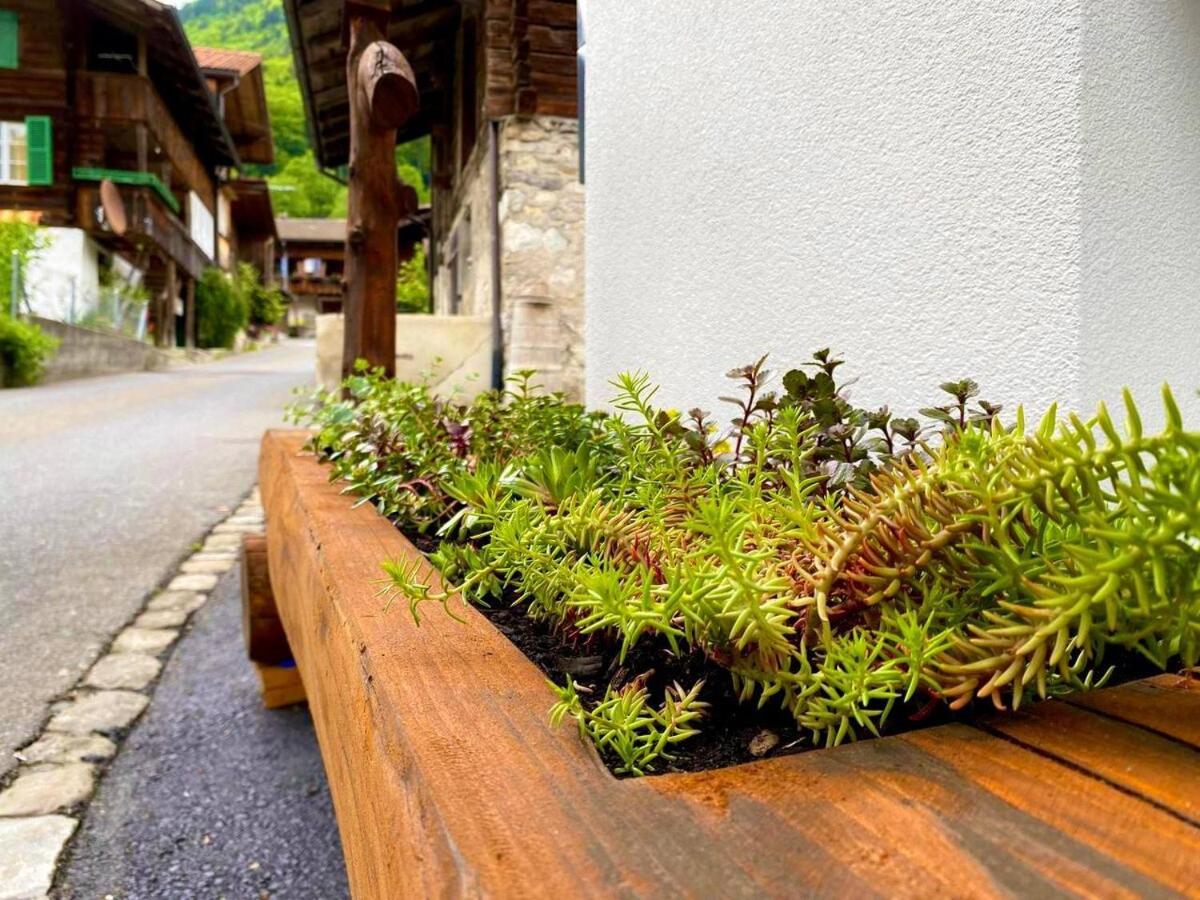 Apartment Beim Brunnen Gsteigwiler